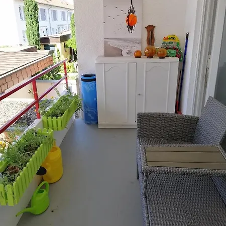Elwetritsche In Landau/pfalz *