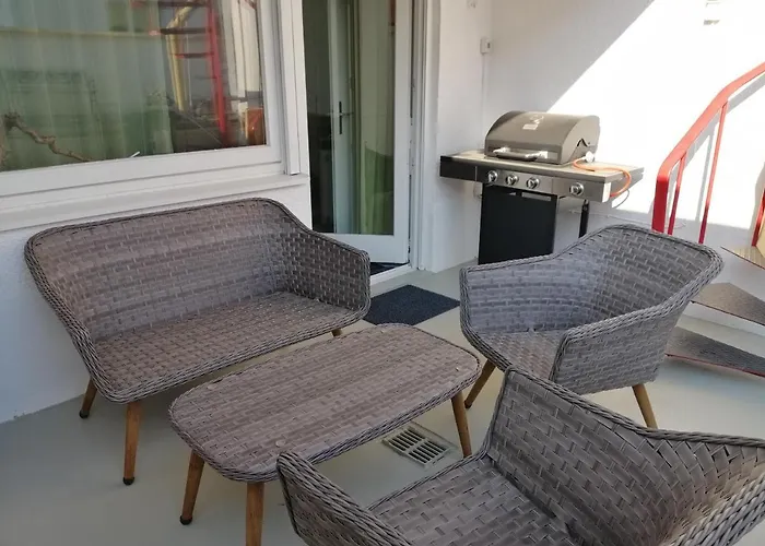 Elwetritsche In Landau/pfalz * 朗道因德普法尔茨