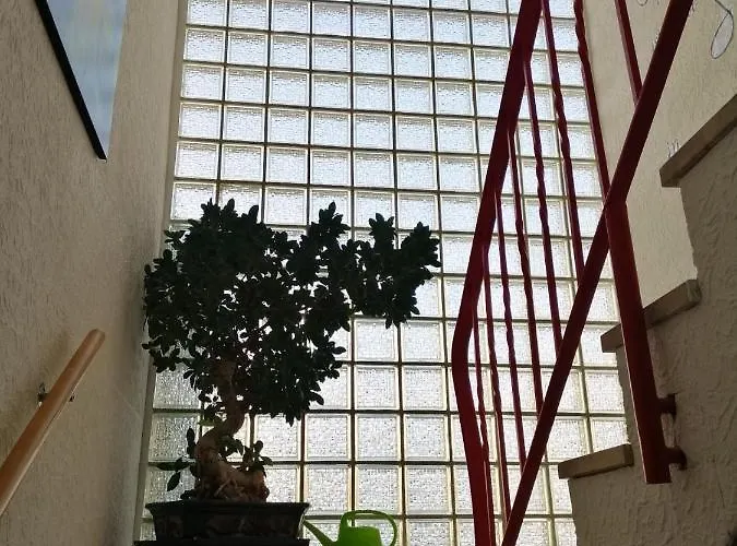 Elwetritsche In Landau/pfalz * 朗道因德普法尔茨