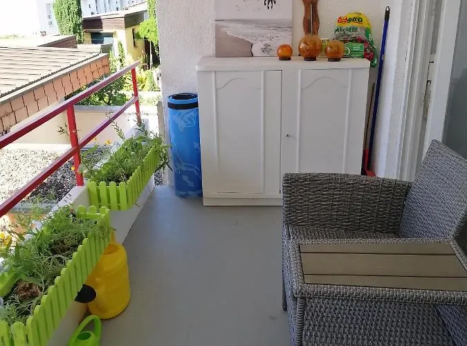 Elwetritsche In Landau/pfalz *